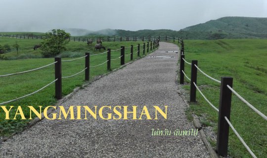 Cover Yangmingshan ไม่คาดหวัง แต่เกินคาด...