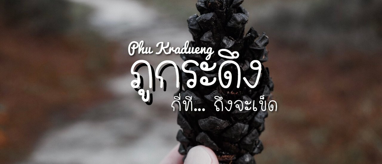 cover >>> ภูกระดึงกี่ที.. ถึงจะเข็ด <<<