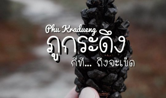 cover >>> ภูกระดึงกี่ที.. ถึงจะเข็ด <<<