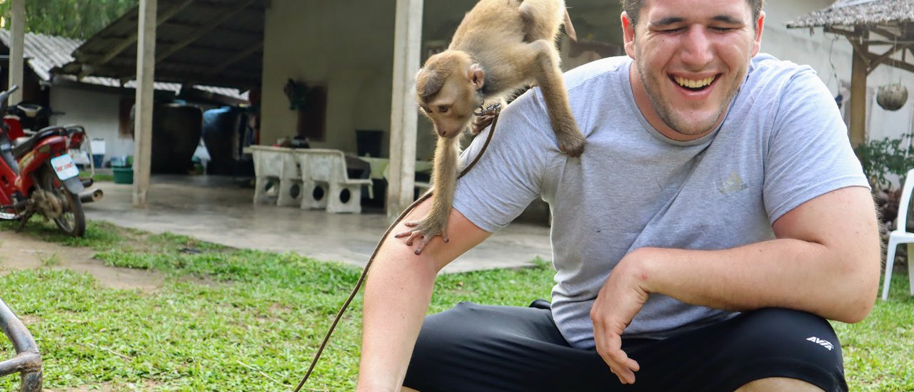 cover 🐒 MONKEY SCHOOL IN CHUMPHON