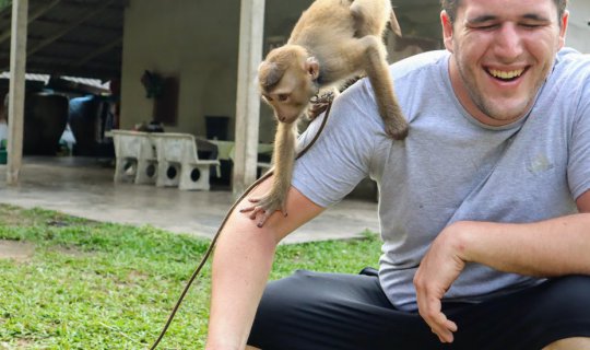 cover 🐒 MONKEY SCHOOL IN CHUMPHON