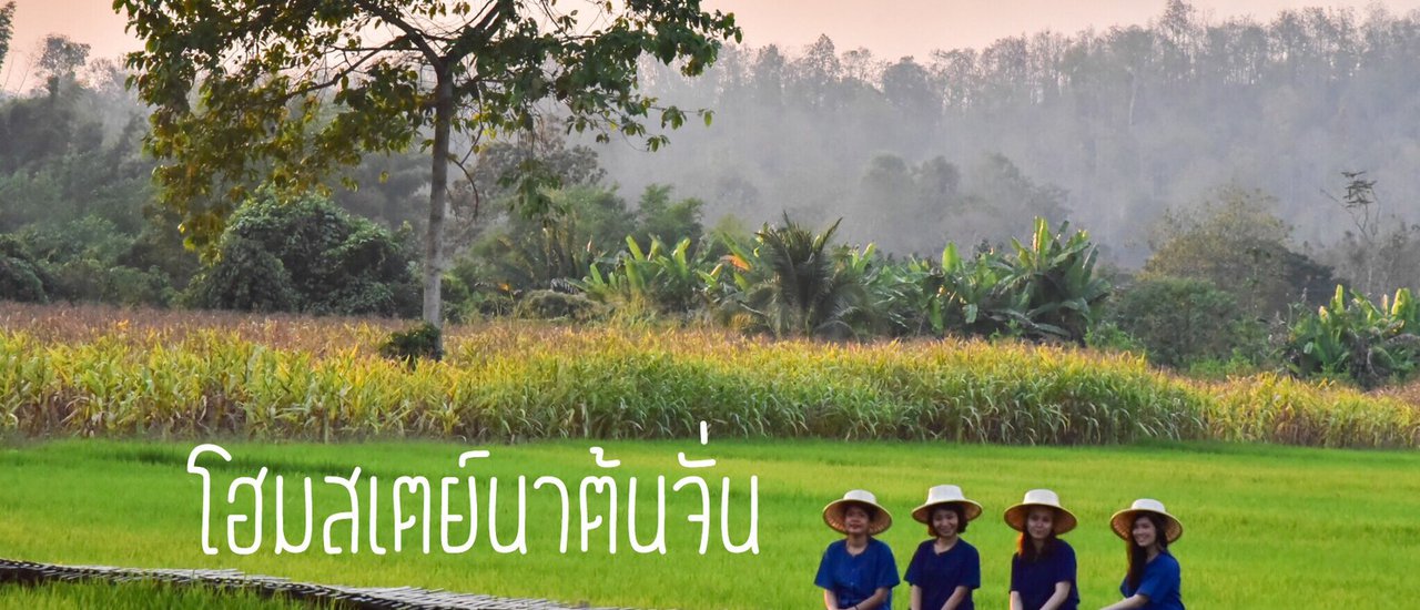 cover ความทรงจำจังหวัดสุโขทัย : โฮมเสตย์บ้านนาต้นจั่น