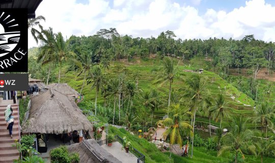 cover นั่งจิบเบียร์ชมวิวนาข้าวขั้นบันไดอันเลื่องชื่อ Tegalalang Rice Terraces ของอินโดนีเซีย ที่ Surya Terrace Cekingan @ Bali