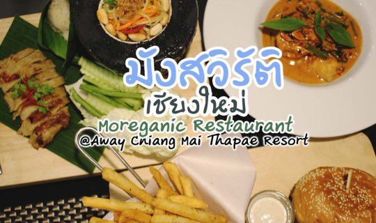 cover ร้านอาหารรมังสวิรัติฟิวชั่น ท่าแพ เชียงใหม่