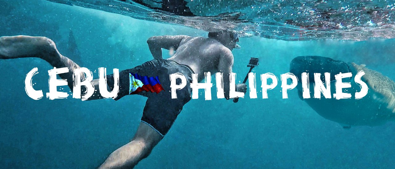 cover .:: Whale Shark, Magnificent Time @ Cebu Philippines ::.