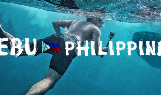 Cover .:: Whale Shark, Magnificent Time @ Cebu Philippines ::....