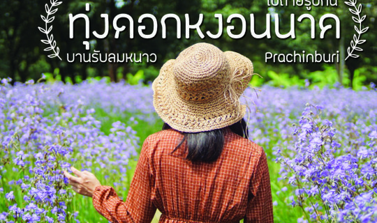 Cover ขอถ่ายรูปเล่นกับ ทุ่งดอกหงอนนาค ได้ไหม ในฐานะลมหนาวมาแล้วก็ได้...