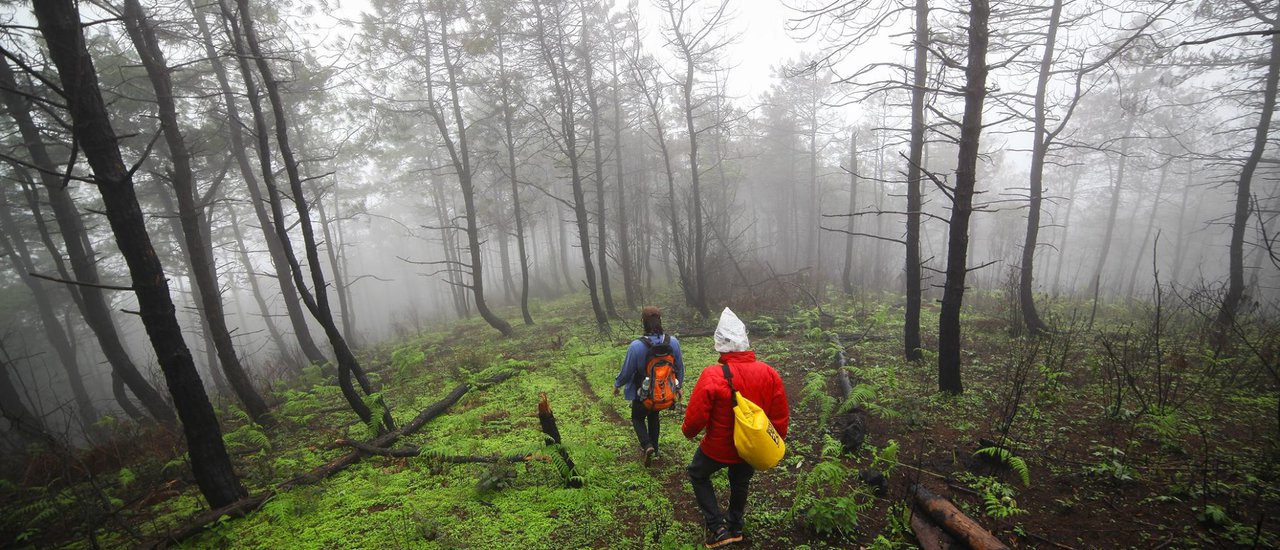 cover โหดเลอะมันส์ หลงทาง กับการเดินทางสูงยอดดอยผ้าขาวน้อยช่วงหน้าฝน