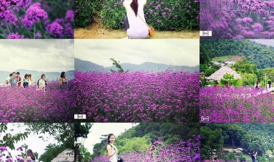 Cover หน้าฝนนี้ ไปเที่ยวที่ม่อนแจ่มกัน...