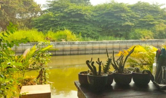 Cover ใครไม่เข้ "หัวตะเข้" (ชุมชนอาร์ตๆริมน้ำ ณ ลาดกระบัง ถ่ายรูปรัวๆ)...