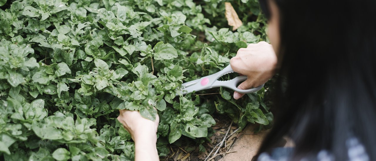 cover :: Machill Home :: Farm Stay รักษ์โลก ที่ไม่ไกลจากกรุงเทพฯ