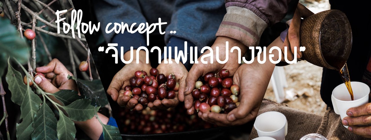 cover follow concept ... "จิบกาแฟแลปางขอน"