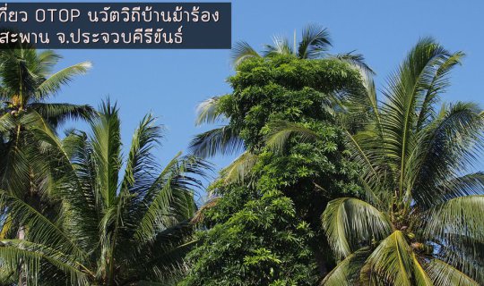 Cover ชุมชนท่องเที่ยว OTOP นวัตวิถีบ้านม้าร้อง...
