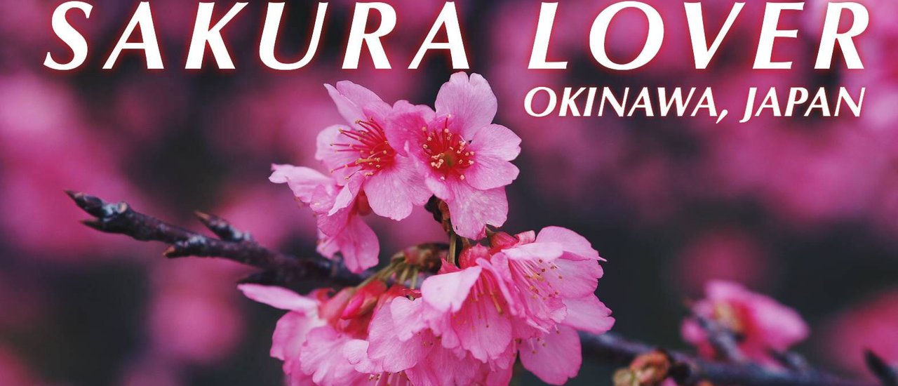 cover SAKURA LOVER OKINAWA JAPAN