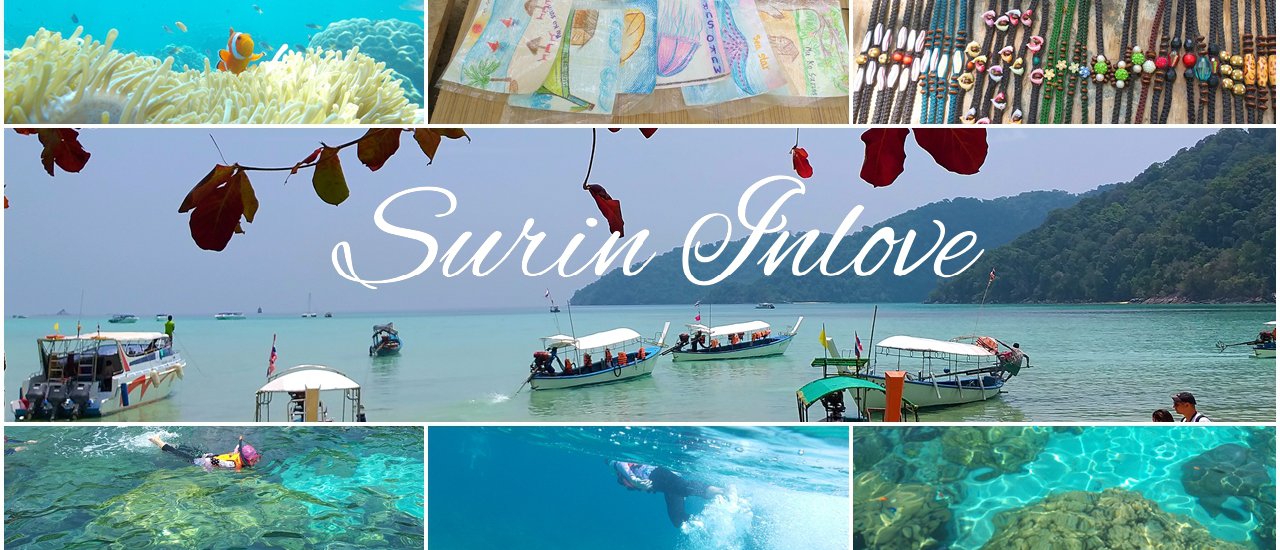 cover Surin In Love ^^ ร้อนนี้อย่าพลาดนะจ๊ะ