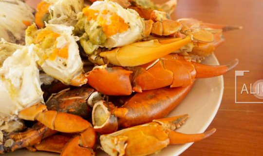 Cover กินปูไข่ร้านเกษร คลองโคลน แล้วบึ่งไปไหว้หลวงพ่อหนึ่ง วัดห้วยโรง...