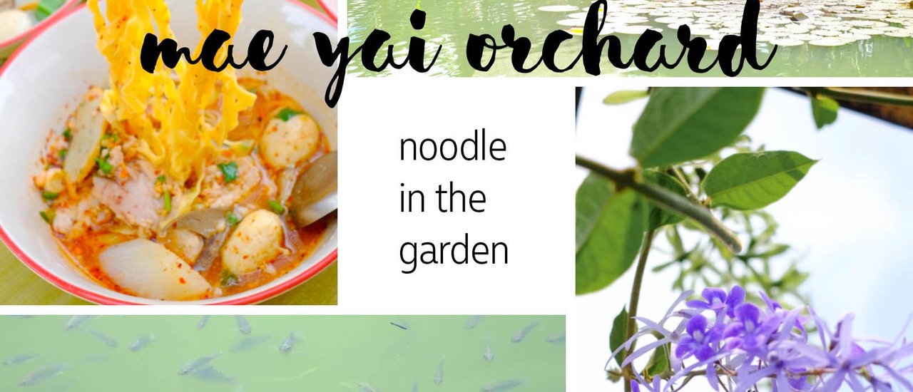 cover ไม่แวะไม่ได้ กับเตี๋ยวในสวน ที่สวนแม่ใหญ่ @อยุธยา