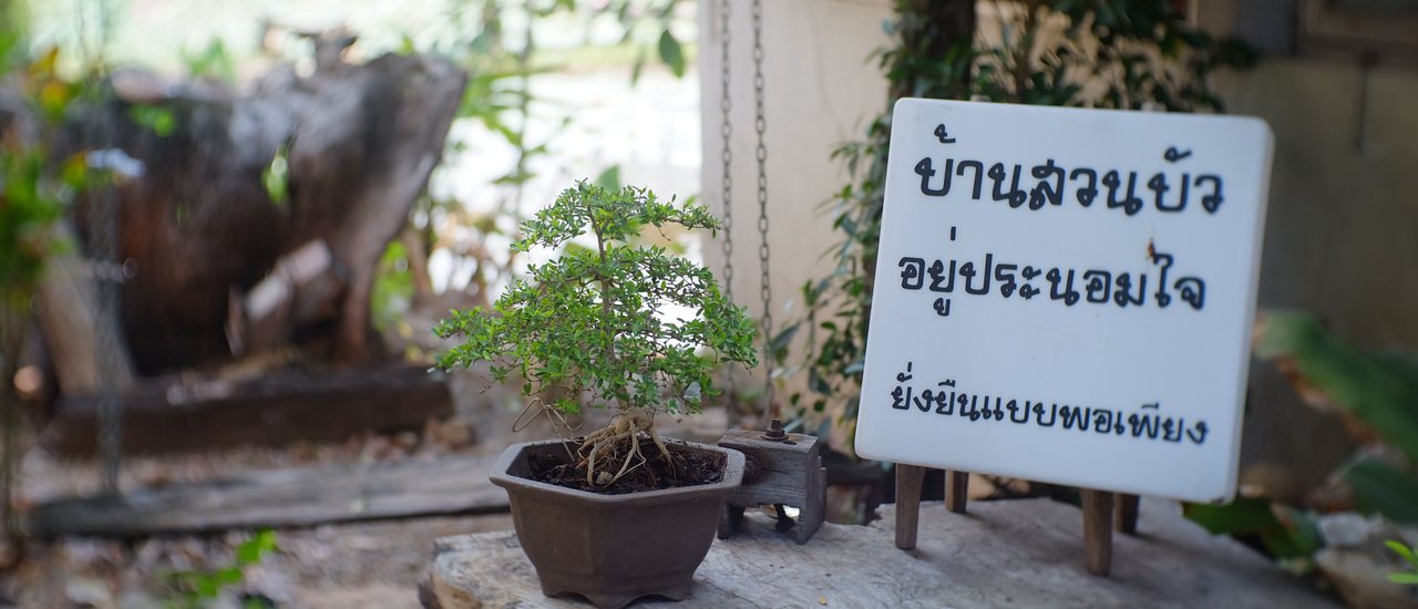 cover "บ้านสวนบัวอยู่ประนอมใจ 2019" สำหรับคนที่หัวใจพอเพียง