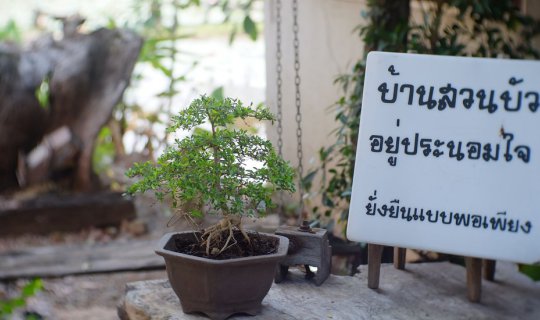 Cover "บ้านสวนบัวอยู่ประนอมใจ 2019" สำหรับคนที่หัวใจพอเพียง...