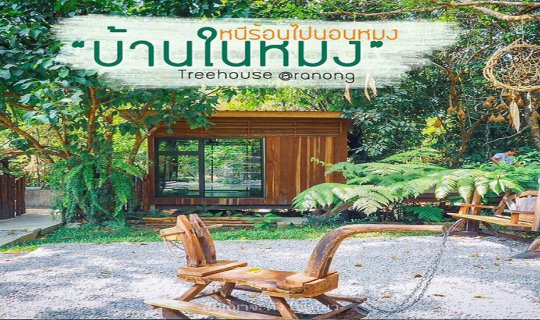 Cover หนีร้อนไปนอนหมง กับ บ้านในหมง treehouse @ranong...