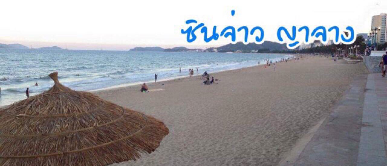 cover ซินจ่าว ญาจาง