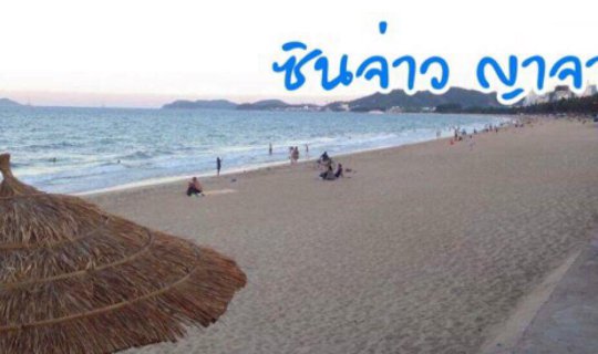 cover ซินจ่าว ญาจาง