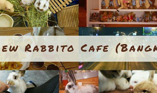 cover Review คาเฟ่กระต่าย : นั่งชิวๆ IN Rabbito Cafe (ซอย สุขุมวิท 101/1)