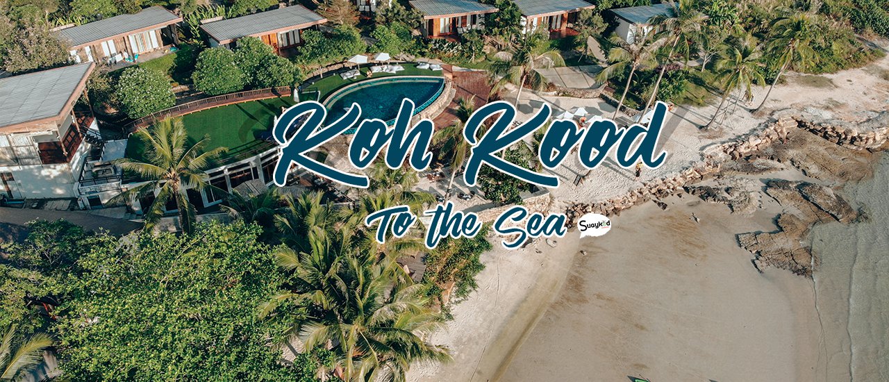 cover เกาะกูดฟิลกู๊ดฝุดๆ ที่ To the sea resort