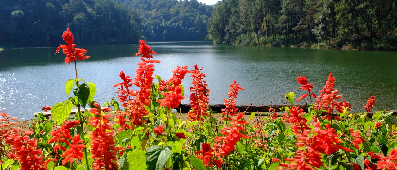 cover Trip 5 Days 4 Nights :: Chiang Mai – Mae Hong Son - Chiang Mai (ROUND III) “แม่ฮ่องสอน ดอยอินทนนท์”