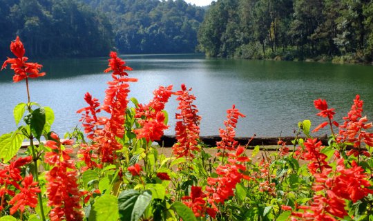 cover Trip 5 Days 4 Nights :: Chiang Mai – Mae Hong Son - Chiang Mai (ROUND III) “แม่ฮ่องสอน ดอยอินทนนท์”