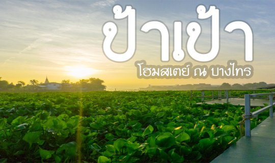 Cover “ป้าเป้า โฮมสเตย์ ณ บางไทร  2019” วันหยุดสุดชิลล์ เที่ยวใกล้กรุงเทพ...