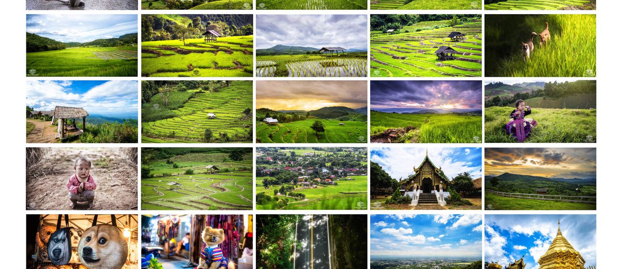 cover -- ตะลอนทริ๊ป : แอ่วเหนือตะลุยทุ่งนาที่เชียงใหม่ --