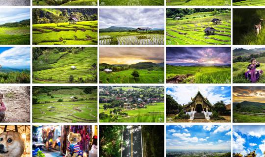 cover -- ตะลอนทริ๊ป : แอ่วเหนือตะลุยทุ่งนาที่เชียงใหม่ --