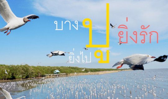 cover บางปู สถานตากอากาศสไตล์วินเทจสุดฮอต ที่ฮิตมาตั้งแต่รุ่นย่า