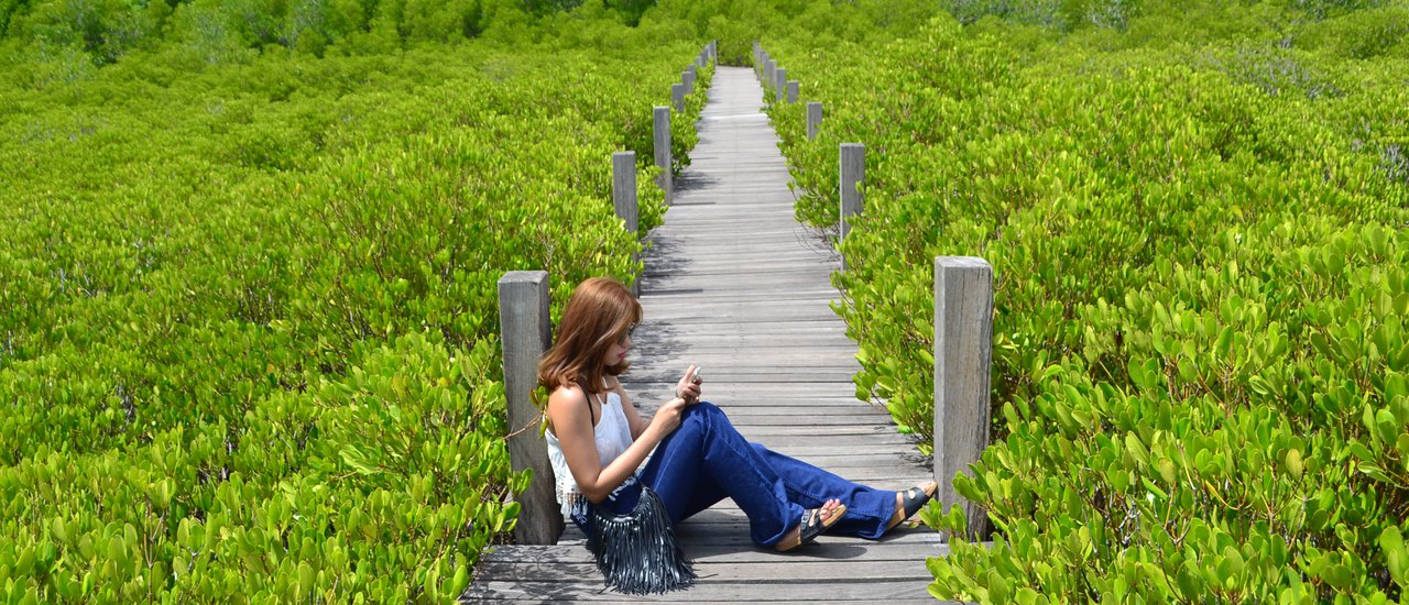 cover One day in Rayong Province: Tung Prong Thong Golden Mangrove Field & Khao Laem Ya-Mu Ko Samet National Park