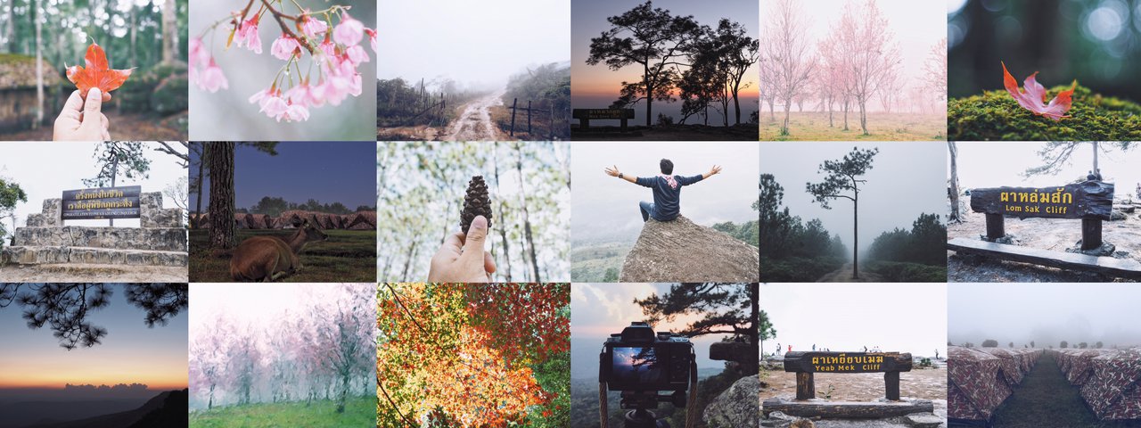 cover ทริปวันว่าง : จาก “ภูลมโล” ไปต่อ “ภูกระดึง” เจอทั้งฝนทั้งหนาว แต่ก็ยังรักภู