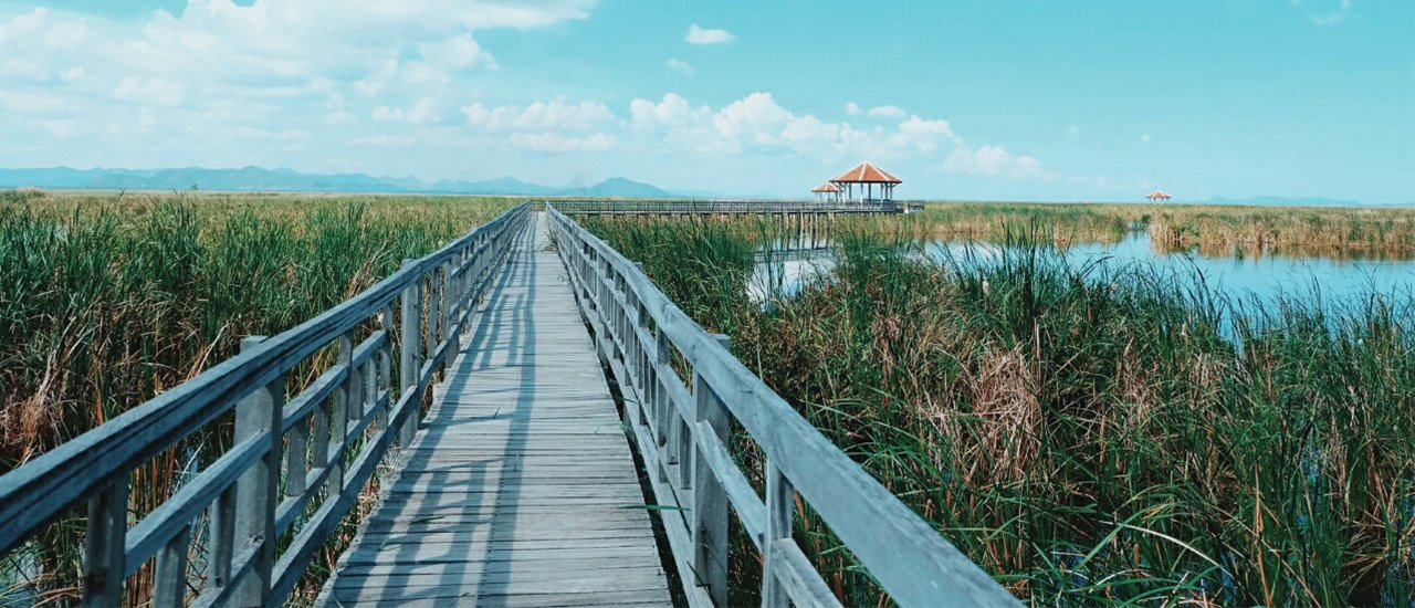 cover To climp up to mountain and enjoy seeing beautiful view of Khao Daeng and Sam Roi Yot Lotus Pond.