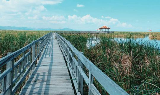cover To climp up to mountain and enjoy seeing beautiful view of Khao Daeng and Sam Roi Yot Lotus Pond.
