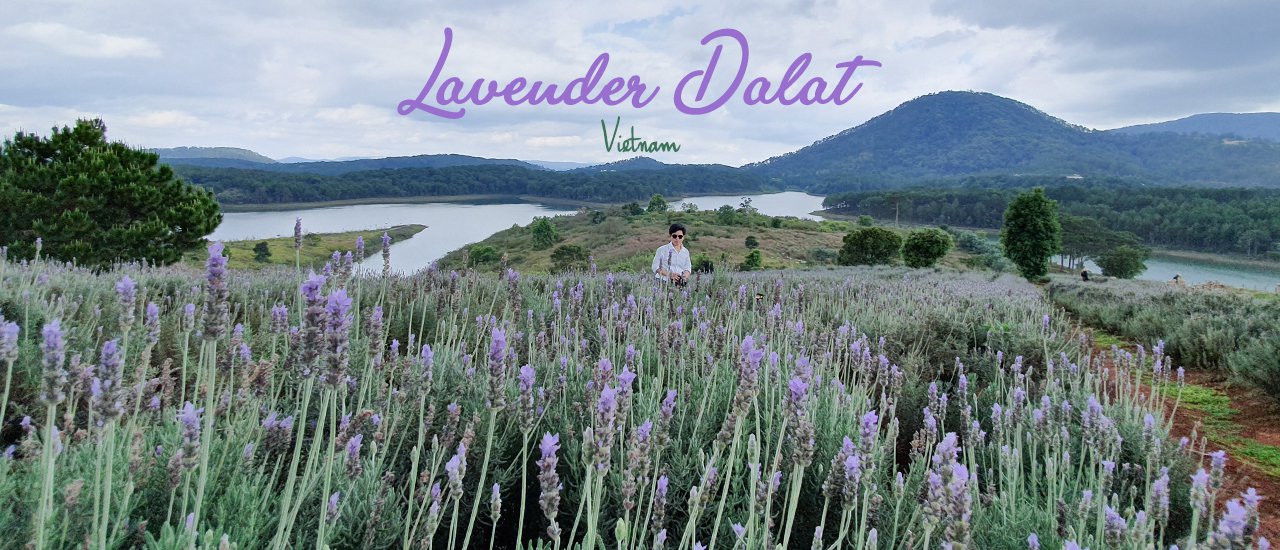 cover Lavender Dalat Garden  "Vietnam Trip 2019"