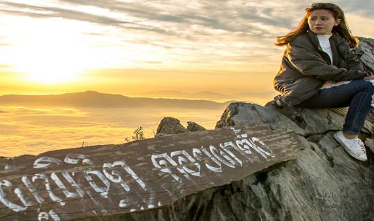 cover 【Chiang Rai】 2 Days 1 Night to 4 Mountains and A Tea Plantation with Dok Phaya Suekrong and Sea Fog Everywhere in a 1,500 THB Budget Each