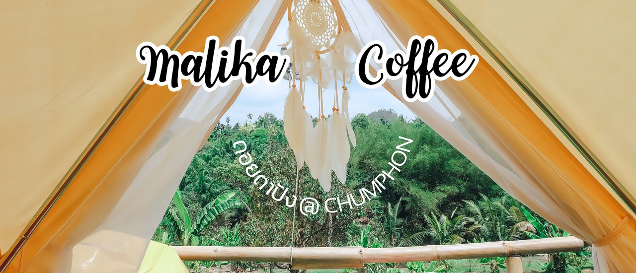 cover ลากแฟนไปแลนด์มาร์คใหม่ ร้านใหม่ มะลิลาคอฟฟี่ กาแฟหลักสิบ นอนเต้นท์หลักร้อย คนละ250 ก็มาได้