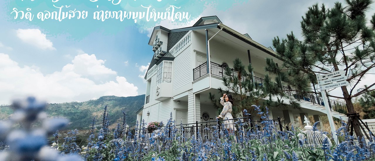 cover โอบกอดขุนเขา สัมผัสดอกไม้ที่เบ่งบาน🌸🌼🌾 บรรยากาศสวนสไตล์ยุโรปสุดแสนโรแมนติกที่ เดอะบลูสกาย รีสอร์ท เขาค้อ