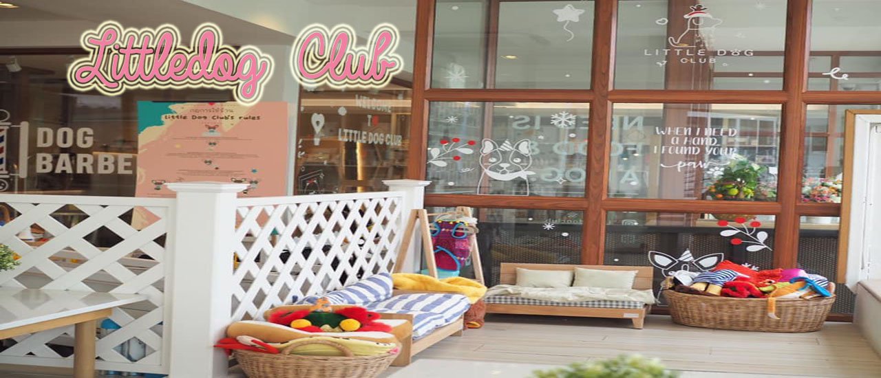 cover Little Dog Club