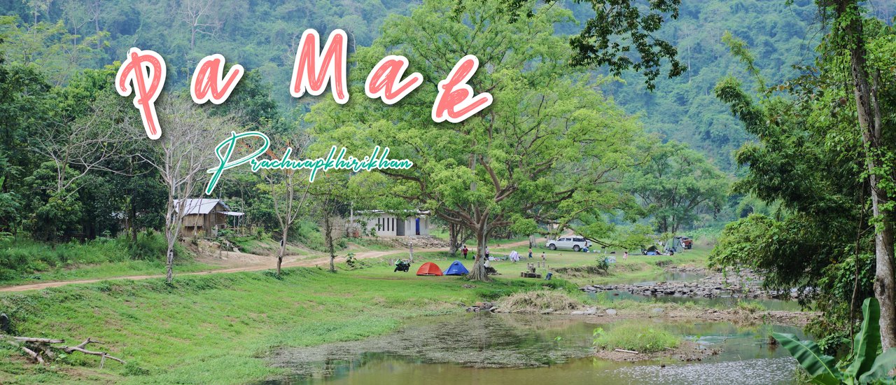 cover " บ้านป่าหมาก " จุดกางเต็นท์ของหมู่บ้านเล็กๆ ในเขตชายแดน | ประจวบคีรีขันธ์