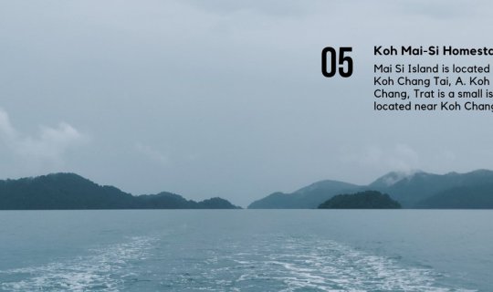 cover “เกาะไม้ซี้”........โฮมสเตย์กลางทะเล ไม่มีหนุ่มให้เหล่ มีแต่เปลให้นอนชิล