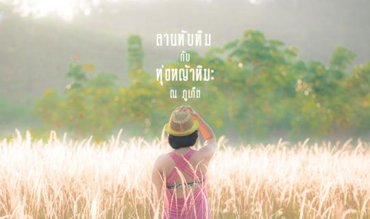 cover "ลานทับทิม" กับ "ทุ่งหญ้าหิมะ" ณ ภูเก็ต