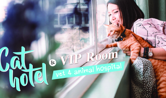 cover โรงแรมแมวน่ารัก & ห้องพักที่ไม่ธรรมดา  [  Vet 4 Animal Hospital  ]