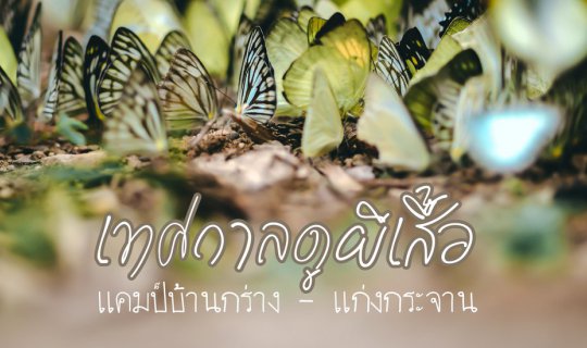 cover ตามหาผีเสื้อในป่าใหญ่ แคมป์บ้านกร่าง แก่งกระจาน