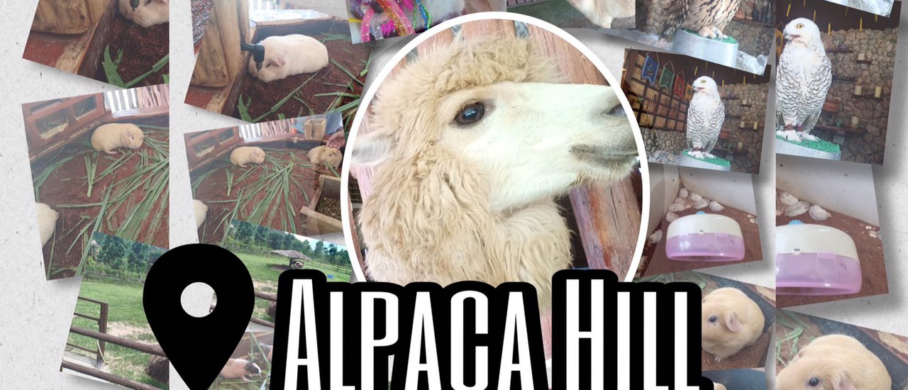 cover เที่ยวไม่ไกลไปราชบุรี EP.3 Alpaca Hill
