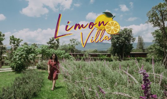 Cover Limon Villa Khao Yai ที่พักสไตล์ยุโรปกับบรรยากาศเขาใหญ่...